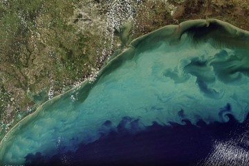 Satellite image zoomed to coastal area with green-ish brown plume along the coast.