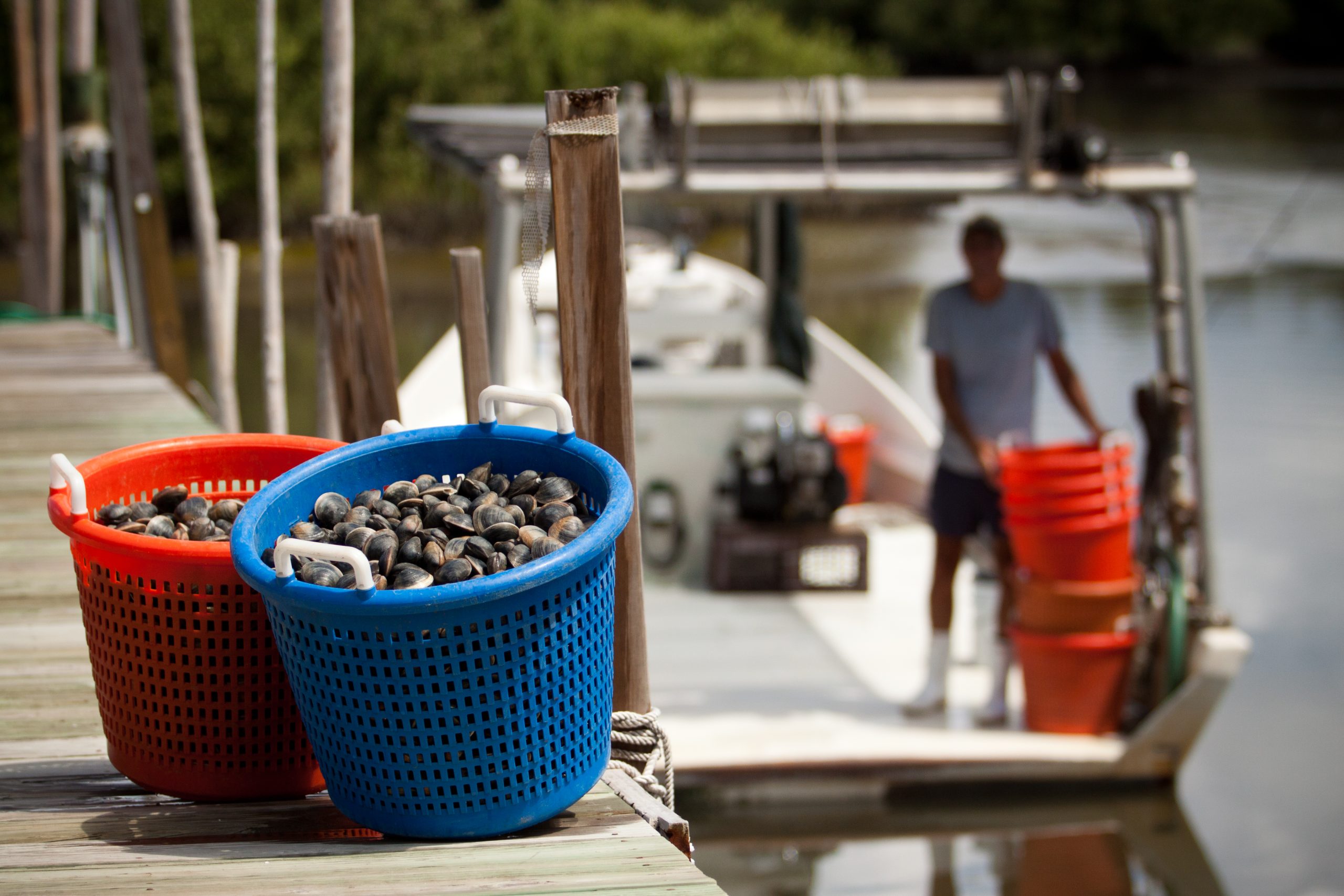 Two buckets of clams on a dock with a man carrying a stack of buckets on a boat in the background.