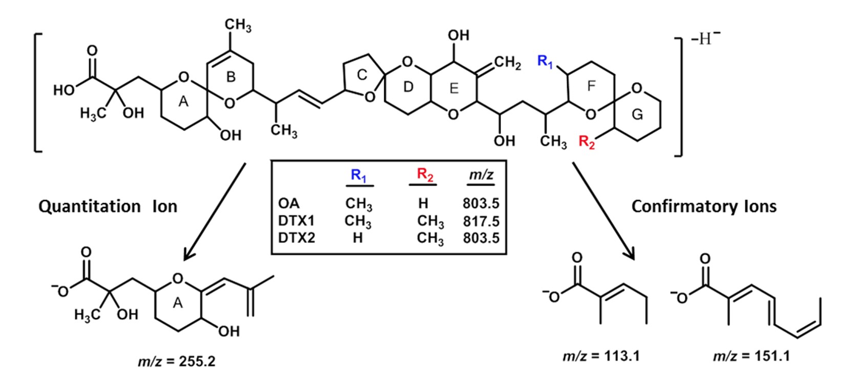 Structure of analyte precursor ions and proposed product ion structures for DSP toxins determined using the current NSSP approved method. Credit: Whitney Stutts and Jonathan Deeds, ISSC Proposal No. 17-103.