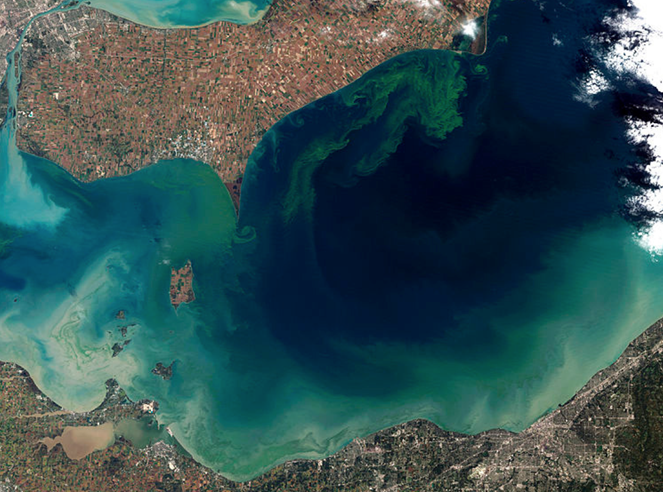 Landsat-5 satellite image of 2011 Lake Erie harmful algal bloom.