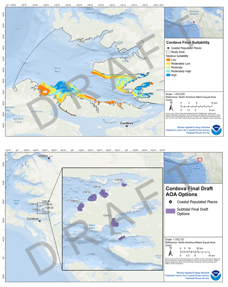 Top: Final suitability results for Cordova, Alaska, take into account major constraints (e.g., sea ice) and potential use conflicts with national security, industry and navigation, cultural resources, natural resources, and aquaculture and fisheries. Bottom: Final draft options for Cordova, Alaska, were identified after removing relatively suitable areas in the intertidal zone, which would present logistical challenges given the steep shoreline and high tidal amplitude.