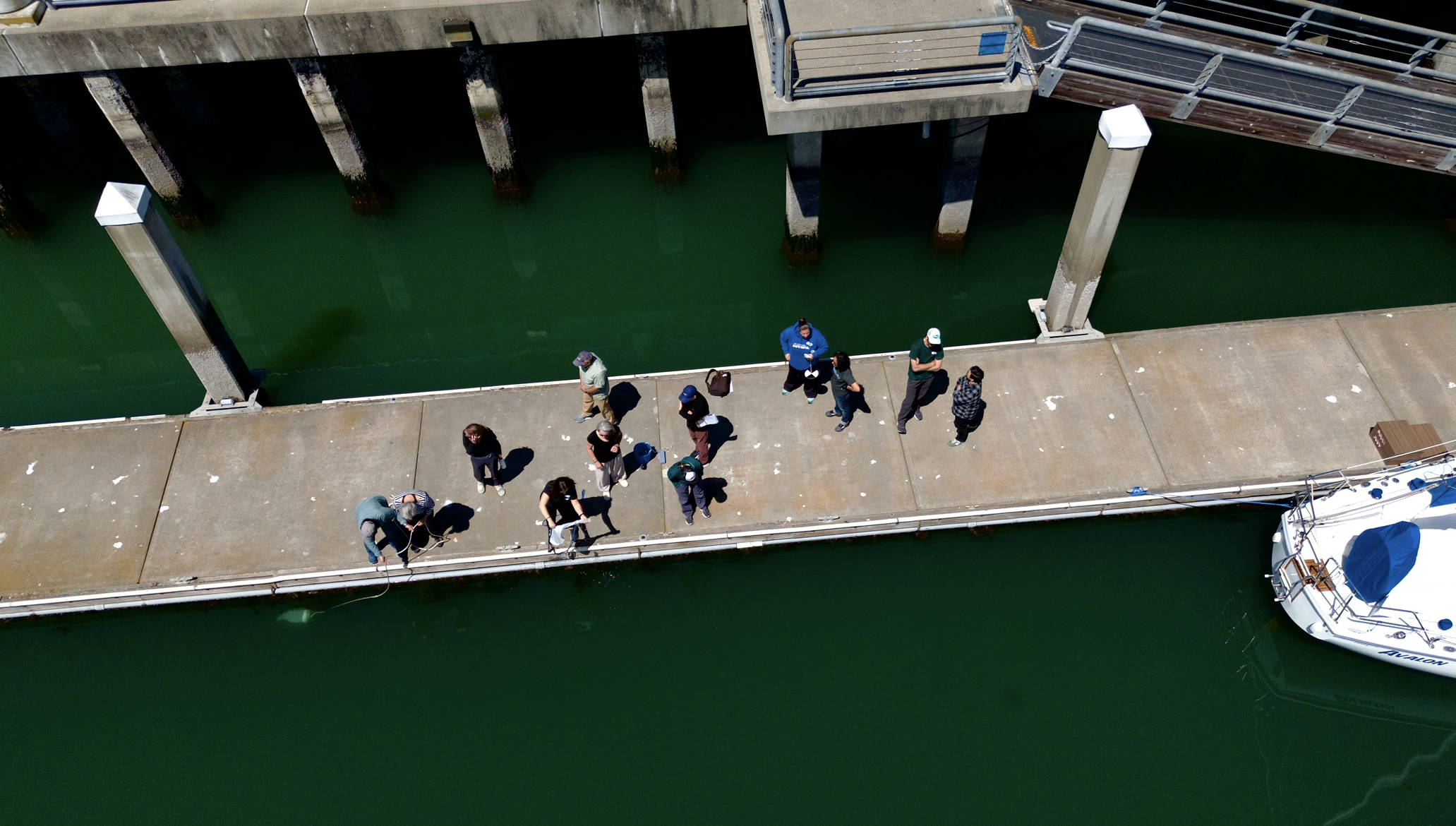 Aerial view of twelve people on dock learning how to collect water samples to identify phytoplankton.