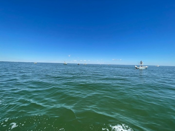 Several boats in open water