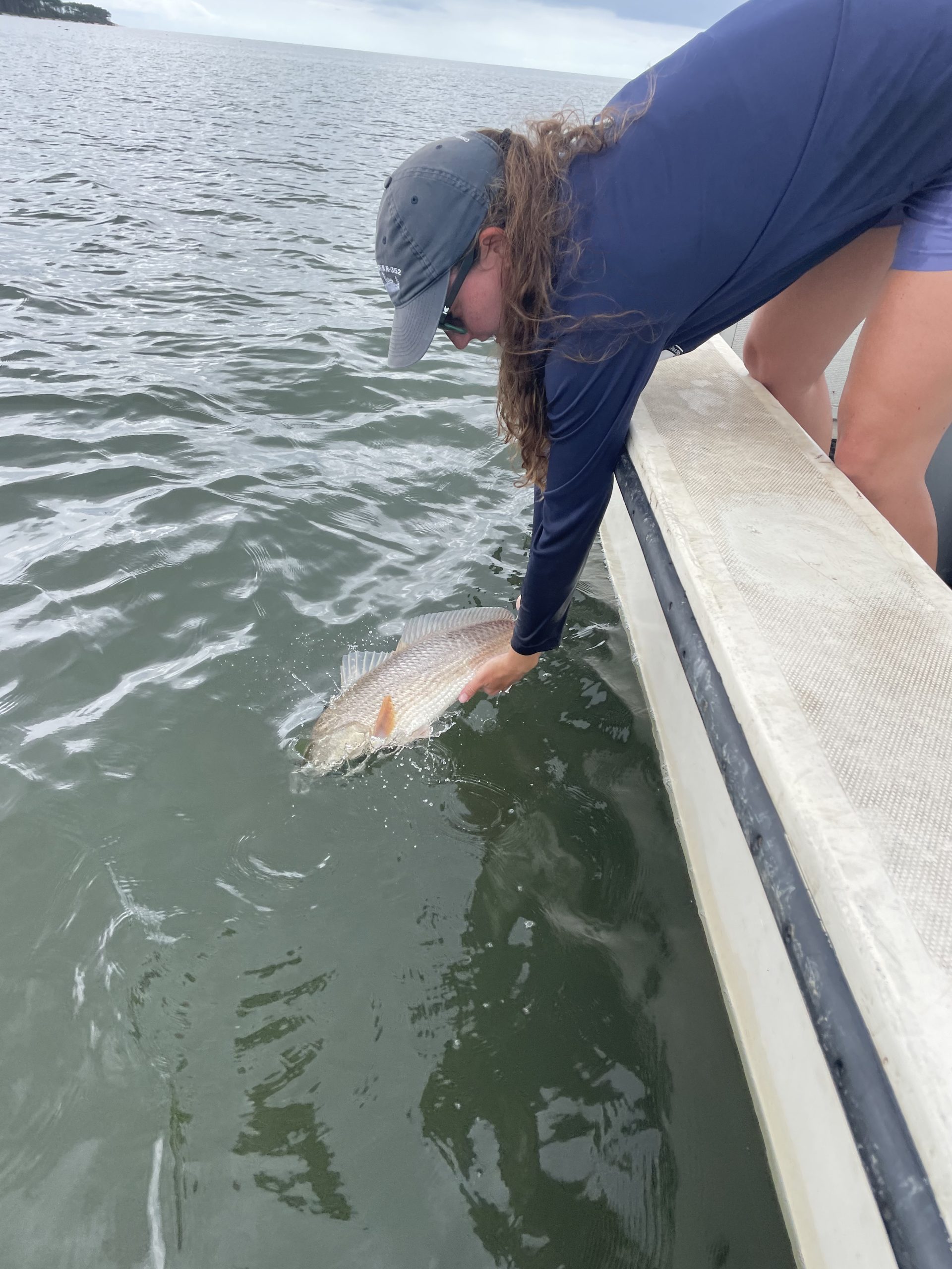 Woman on boat places fish in water