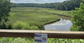 a tidal creek through a wetland near a food bridge with a sign that reads Scan Me with a QR code