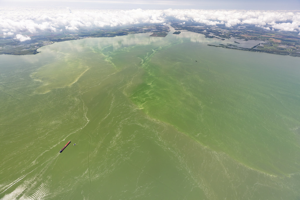 Aerial image of harmful algal bloom in Lake Erie