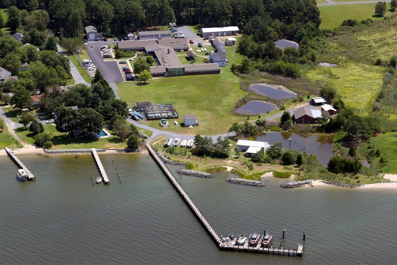 Aerial view of Cooperative Oxford Lab along the shore with docks extending into the water]

