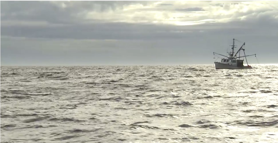 Trawler on open water