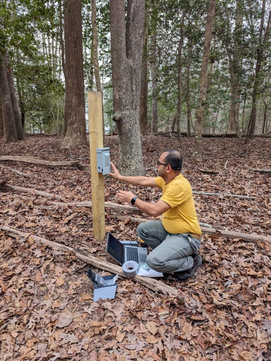 Person secures an instrument to a wooden post in the woods