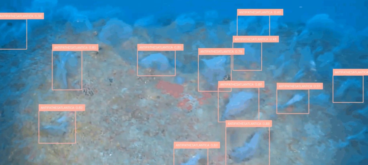 boxes and labels identifying various coral, fish, and sponges.