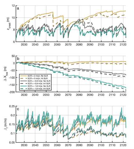A set of three line graphs showing model projections from 2030 to 2120 for different dune growth and sea level rise (SLR) scenarios.Graph (a) shows dune crest height (z_crest) over time. Graph (b) shows shoreline position change (ΔX_veg) over time. Graph (c) shows vegetation growth rate (β1) over time. Each line represents a different combination of dune growth rate and sea level rise, with solid lines indicating scenarios with sea level rise and dashed lines showing those without.