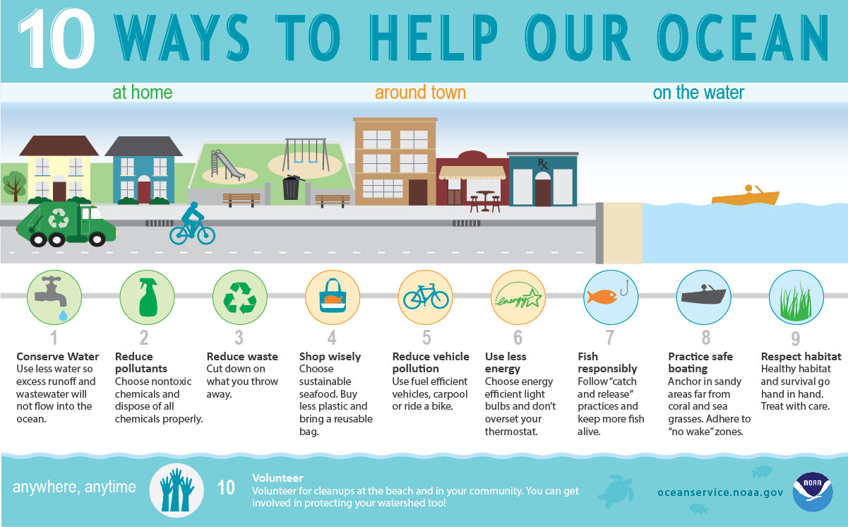 infographic showing 10 things any person can do to help the ocean