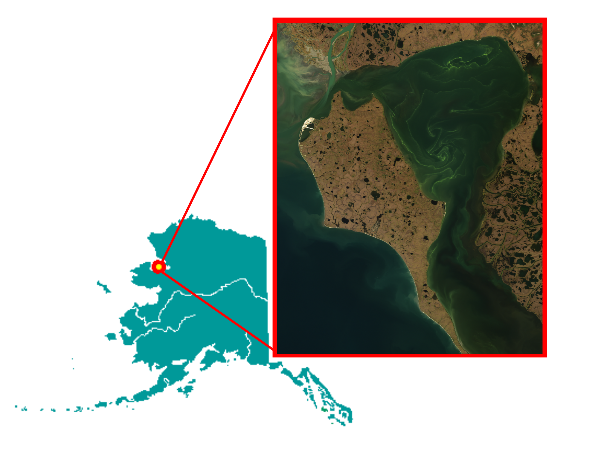 Map of Alaska with inset showing Landsat 8 satellite imagery of a cyanobacterial bloom in Kotzebue Sound.