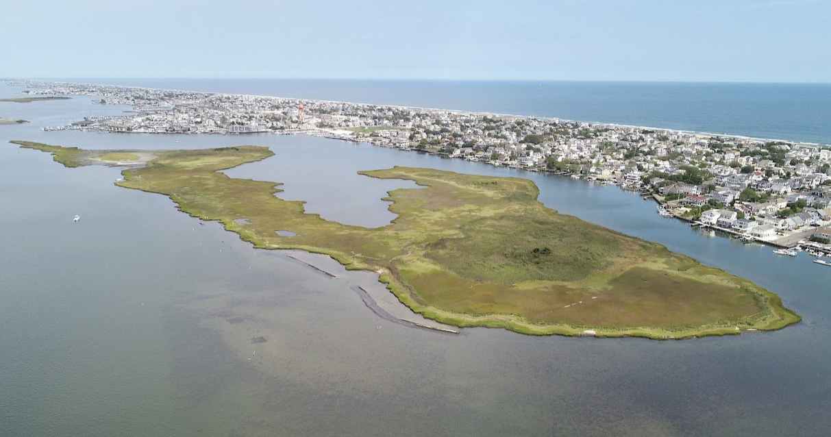 Aerial view of a coastal marsh island surrounded by shallow water, with a developed shoreline and buildings in the background along the open ocean.