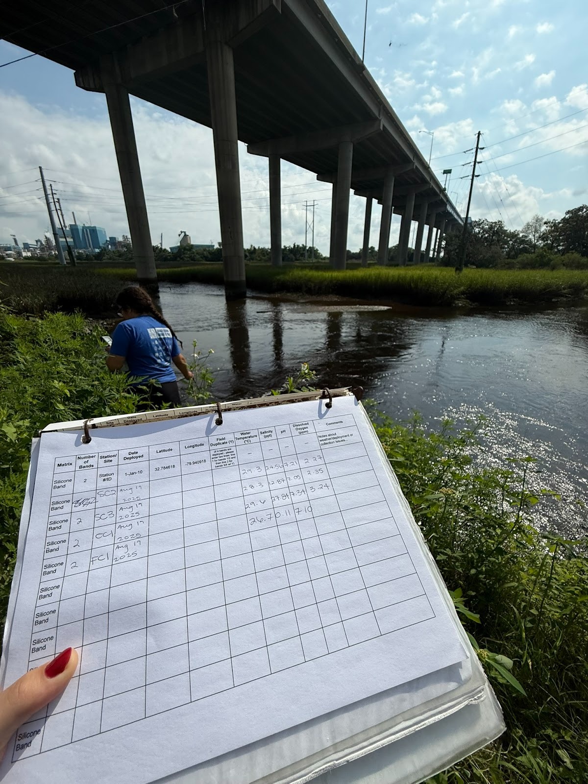 A clipboard with recorded data being held near an underpass of a bridge on the marsh.