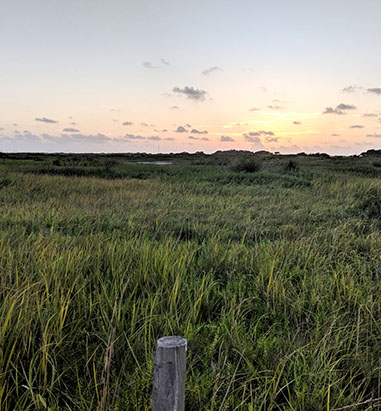 A coastal wetland on the Gulf Coast