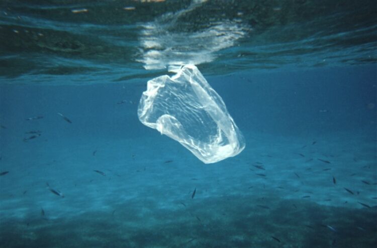 Plastic ingestion by fish a growing problem