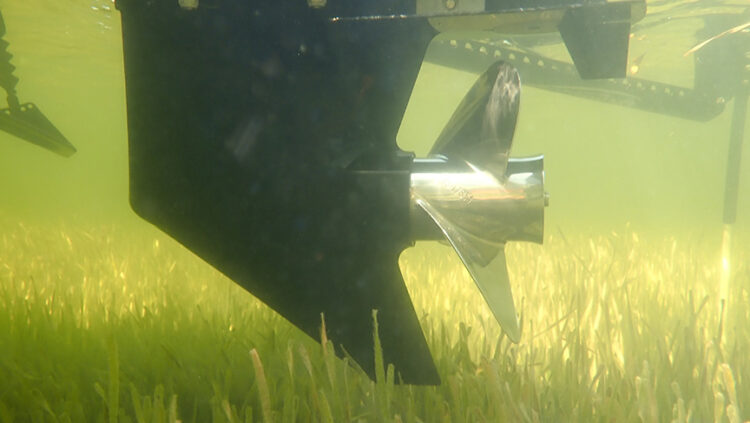 A boat propeller in seagrass beds off of Florida's Nature Coast.