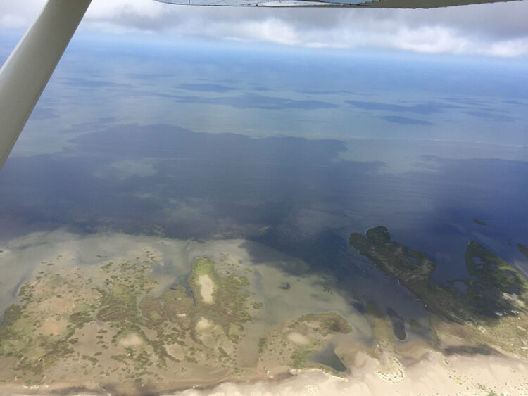 Aerial view of seagrass beds at the Chandeleur Islands.