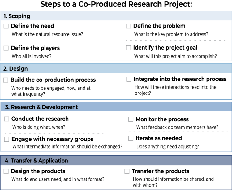 An outline of the steps of the co-production process